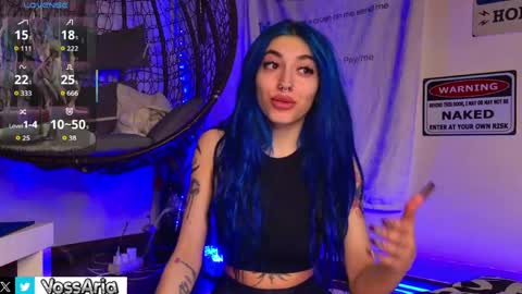Snapshot of ariavossx chatting on April 2026 09:50:01 PM Aria online show from April 2026 09:50:01 PM