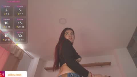 Snapshot of aribrunnet_ chatting on March 2026 04:06:02 PM Ari Just Ari online show from March 2026 04:06:02 PM