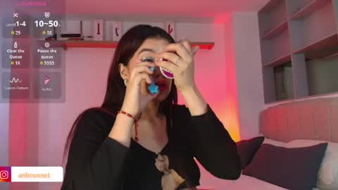 Snapshot of aribrunnet_ chatting on April 2026 08:09:02 PM Ari Just Ari online show from April 2026 08:09:02 PM