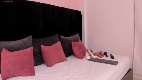 Snapshot of ariel_jonnes chatting on November 2025 05:25:01 PM Ariel online show from November 2025 05:25:01 PM