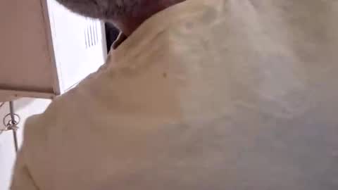 arielferdman online show from October 2025 09:06:01 PM