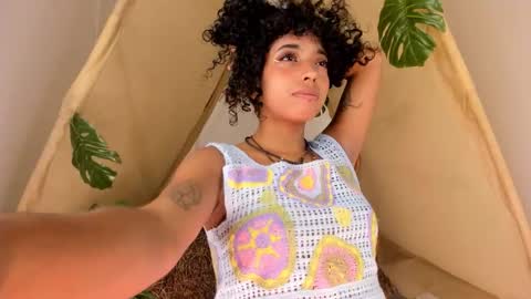 A R I   online show from November 2025 12:06:01 PM