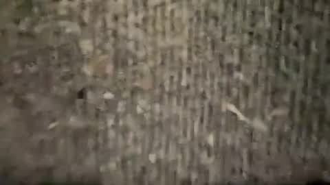 Snapshot of ariicutekitty chatting on January 2025 04:26:01 AM airskiii online show from January 2025 04:26:01 AM