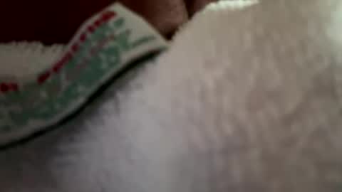 Snapshot of arley1966 chatting on April 2026 11:46:02 PM arley1966 online show from April 2026 11:46:02 PM