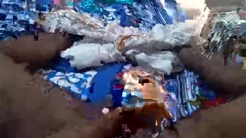 arshkhant987 online show from September 2025 05:41:01 AM