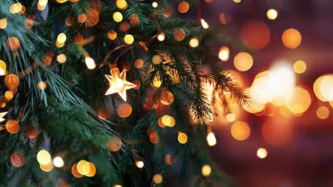 natra online show from December 2024 06:16:01 PM