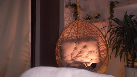 Amanda online show from February 2025 01:46:02 AM