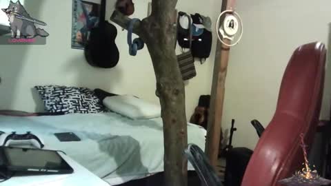 artorias 4 online show from January 2025 10:34:02 PM