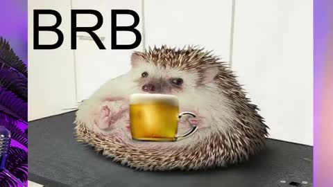 AshleyAshe  online show from February 2025 11:26:02 PM