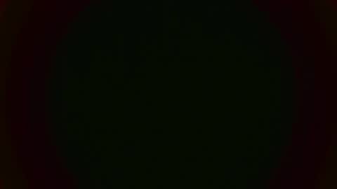 ashley  online show from February 2025 02:52:01 PM