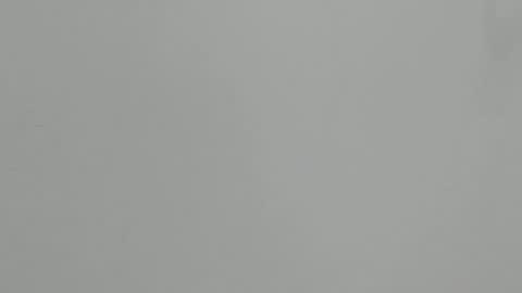 Ashley  online show from February 2026 12:34:02 PM