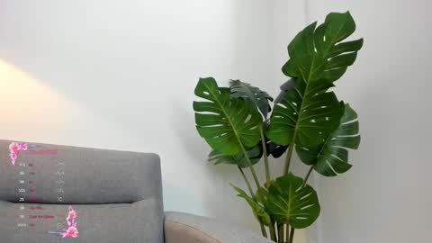 ashllovee online show from January 2025 04:09:01 AM