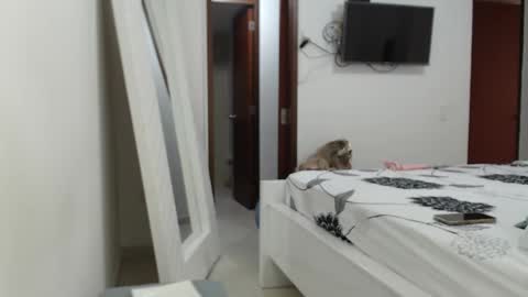 Snapshot of ashlymoon chatting on February 2025 09:37:01 PM AshlyMoon online show from February 2025 09:37:01 PM