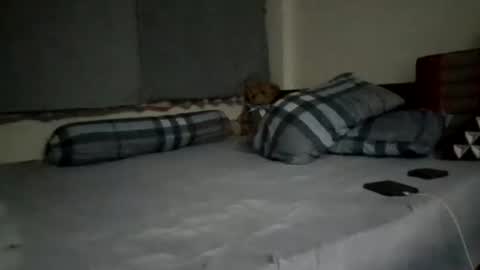 Snapshot of asianthai chatting on September 2025 09:27:02 PM asianthai online show from September 2025 09:27:02 PM