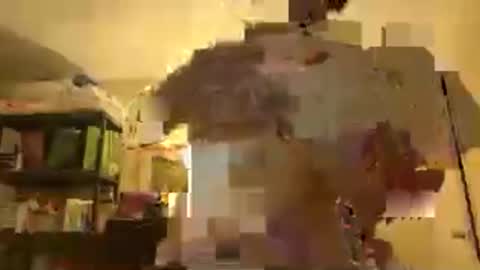 Patty online show from November 2025 03:32:02 AM