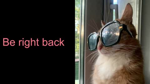 Snapshot of astra_lis chatting on February 2025 10:40:02 AM Astra online show from February 2025 10:40:02 AM