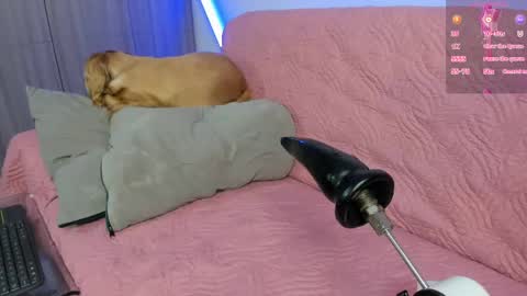 Snapshot of atalaya_sexy chatting on April 2026 04:59:01 AM Atalaya - Jack online show from April 2026 04:59:01 AM