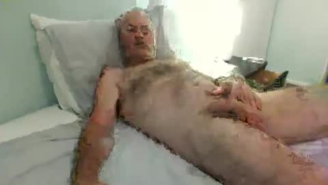 auckland26 online show from December 2025 09:47:02 AM