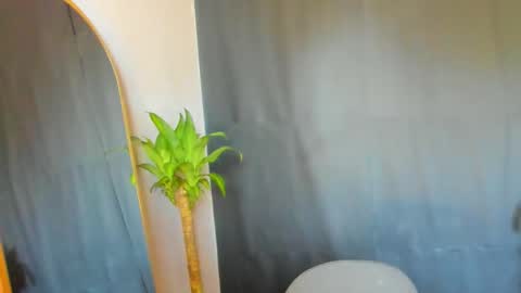 Audry online show from February 2026 05:14:01 PM