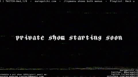 Snapshot of auragotchi chatting on January 2025 11:06:01 PM Aurora  Aura online show from January 2025 11:06:01 PM