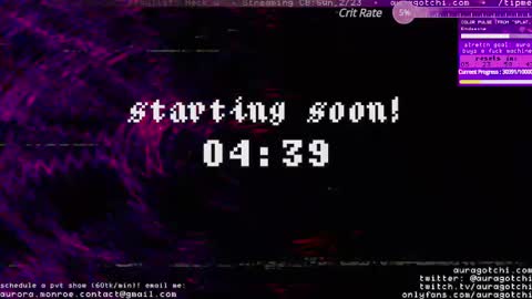 Snapshot of auragotchi chatting on February 2025 05:01:01 AM Aurora  Aura online show from February 2025 05:01:01 AM