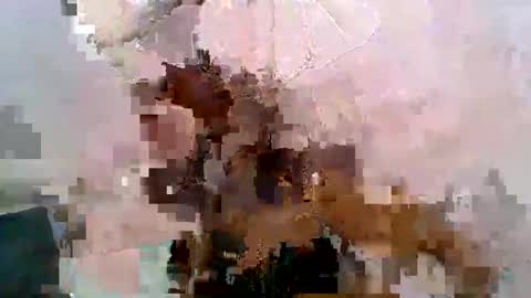 aurelia107 online show from May 2026 03:08:01 PM