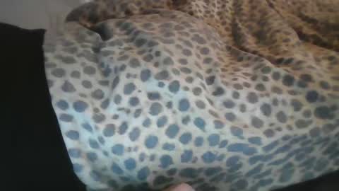 Snapshot of aussiecockpumper76 chatting on March 2025 05:21:02 AM Aussiecockpumper76 online show from March 2025 05:21:02 AM