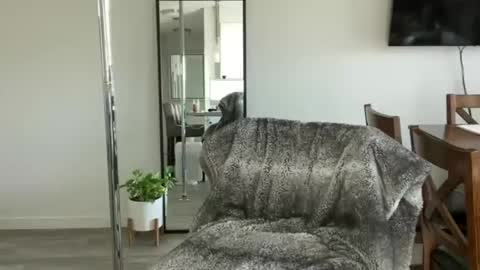 Little Ava  online show from April 2026 07:58:02 PM