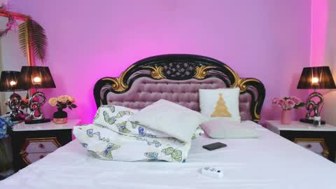 Snapshot of avaaaddamss chatting on February 2025 12:11:02 PM avaaaddamss online show from February 2025 12:11:02 PM