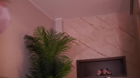 Ava online show from February 2026 04:39:01 AM