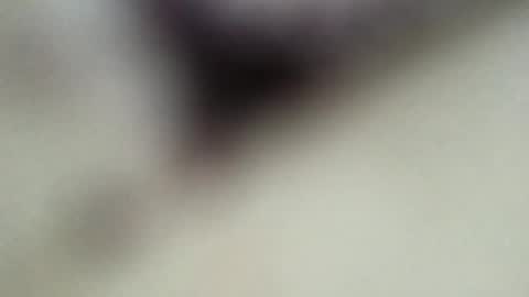 Jon online show from January 2025 04:52:02 AM