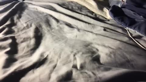 Snapshot of b0rk3r chatting on December 2024 05:53:02 AM b0rk3r online show from December 2024 05:53:02 AM