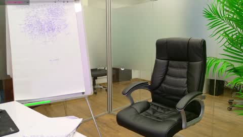 Olivia and Lexi online show from January 2025 12:04:01 AM