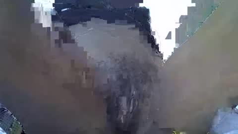 Snapshot of baby_facii chatting on November 2025 07:55:02 AM baby_facii online show from November 2025 07:55:02 AM