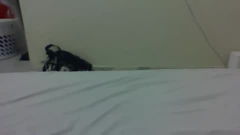 Snapshot of baby_lucky35865 chatting on March 2026 12:38:01 AM needoh online show from March 2026 12:38:01 AM