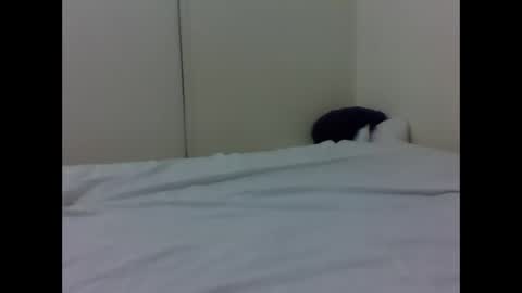 Snapshot of baby_lucky35865 chatting on April 2026 04:37:02 PM needoh online show from April 2026 04:37:02 PM