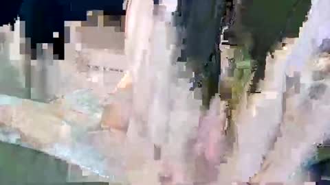 Poindexxxter online show from December 2024 02:49:02 AM