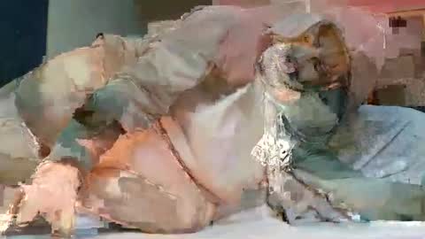 Poindexxxter online show from February 2025 07:08:02 PM