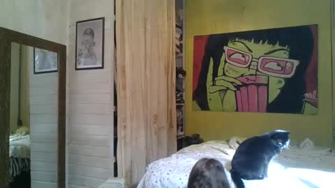 babydemon6 online show from May 2026 01:38:02 PM