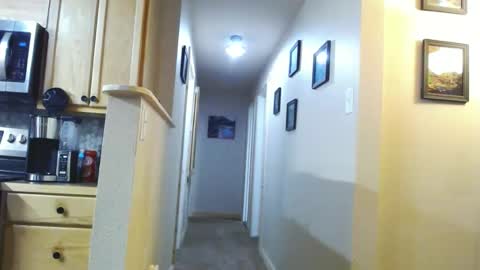 Snapshot of babydick4u2c chatting on January 2025 02:22:02 AM BabyDick online show from January 2025 02:22:02 AM