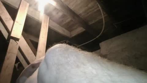 babyxxxangel online show from September 2025 09:43:02 AM