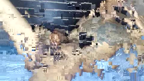 rastafaria online show from February 2026 06:40:02 AM