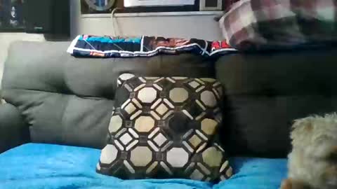 Snapshot of badcady0 chatting on September 2025 03:22:01 AM badcady0 online show from September 2025 03:22:01 AM