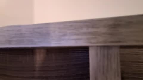 badgirlsclub1029 online show from February 2026 03:13:01 AM