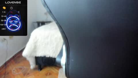 Snapshot of baileyadamss chatting on February 2025 05:47:01 AM IM BAILEY online show from February 2025 05:47:01 AM