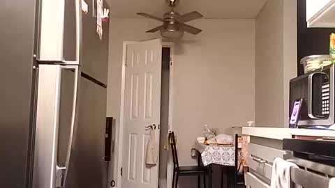 bambihasit online show from October 2025 01:24:02 AM