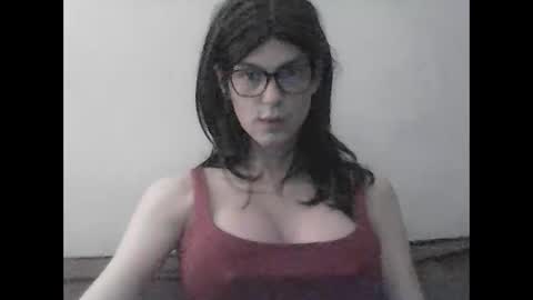 Bambi online show from October 2025 01:31:01 AM