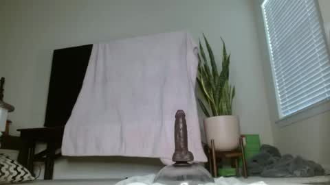 Snapshot of bambirachel1 chatting on June 2026 11:36:02 PM bambirachel1 online show from June 2026 11:36:02 PM