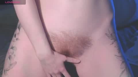 . online show from April 2026 03:17:02 PM