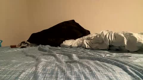 Snapshot of bangobuck chatting on October 2025 04:01:02 AM Bango online show from October 2025 04:01:02 AM